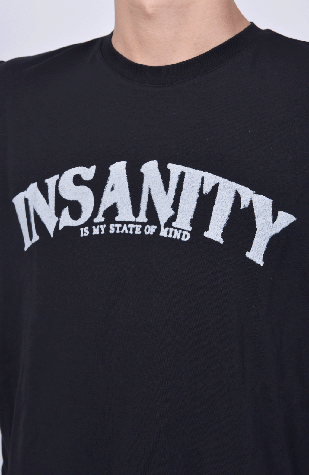 Luda - Statue of Luda T-Shirt