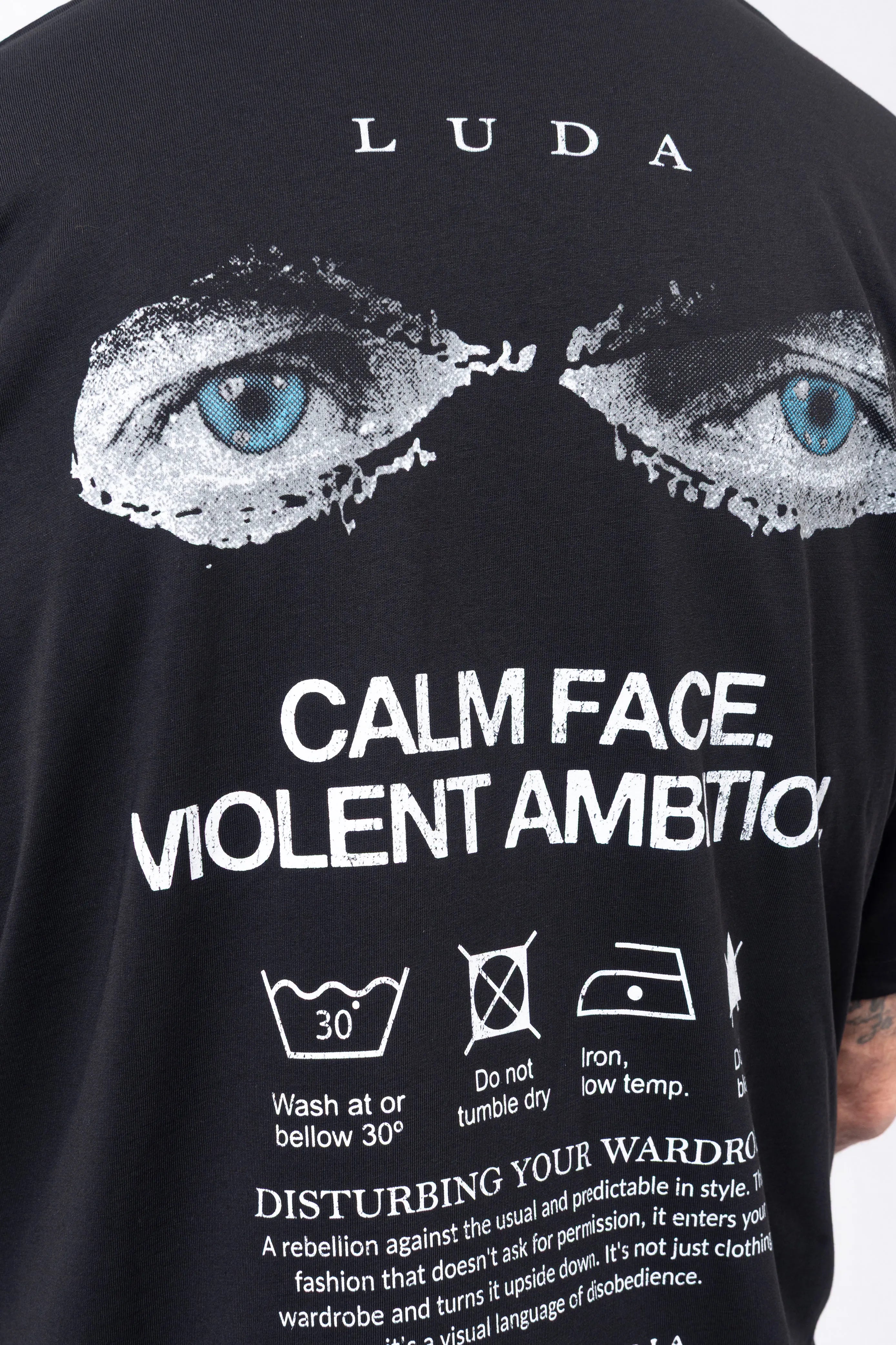 Luda - Blue Eyes Calm Face T-Shirt