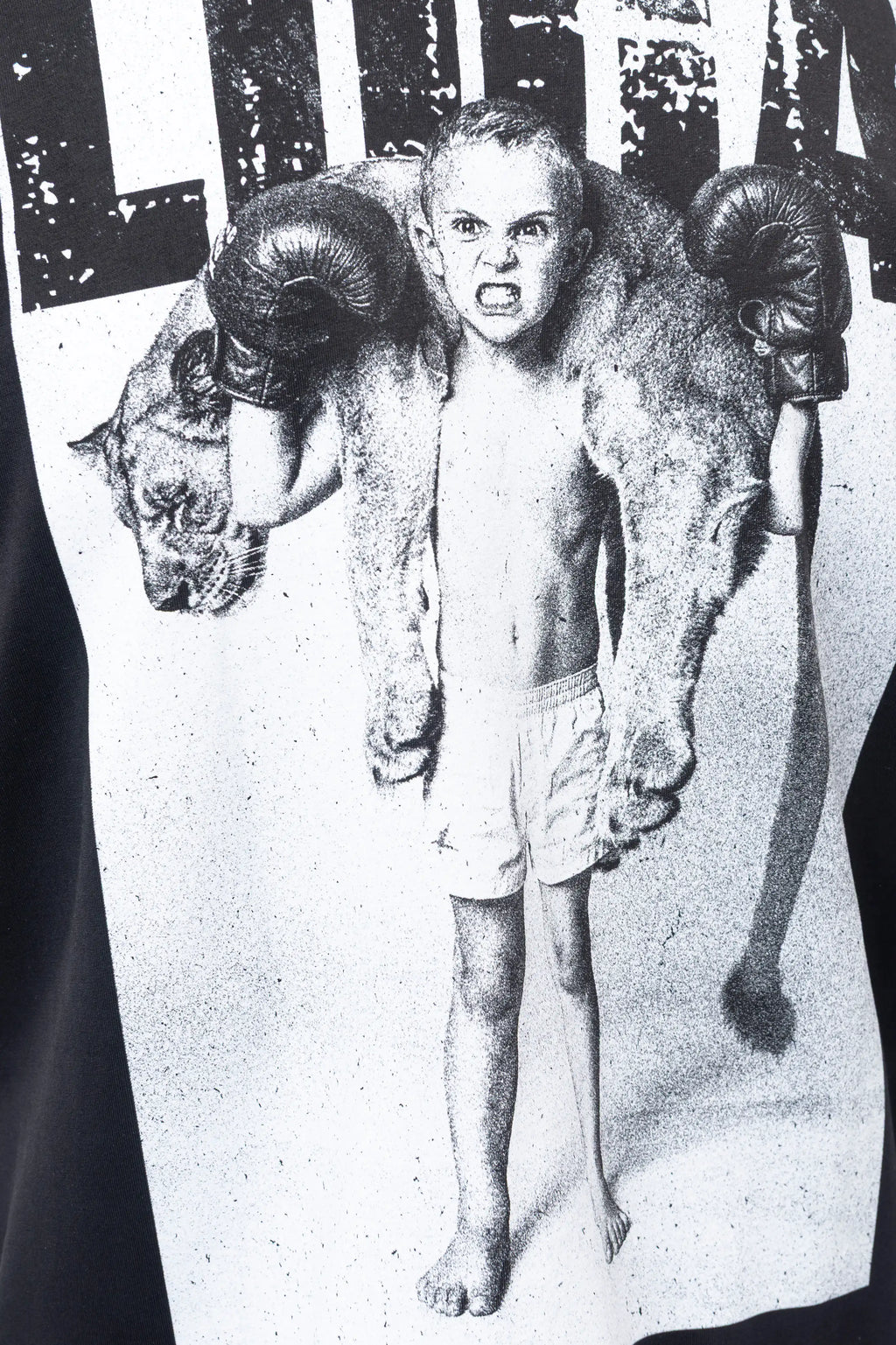 Luda - Lionheart T-Shirt